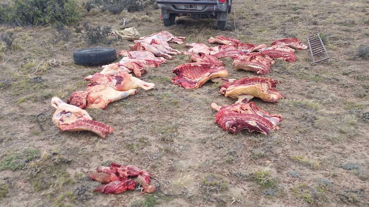 04535ef2-0a62-4ea2-88e9-97e7094af763