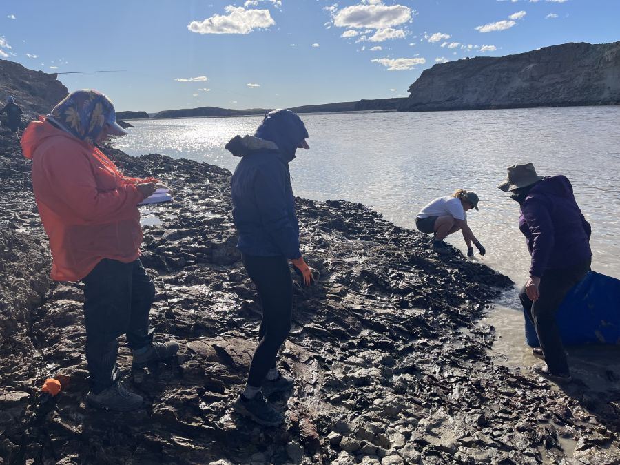 76c941a6123db342ba6b9d2e222a5870_XL