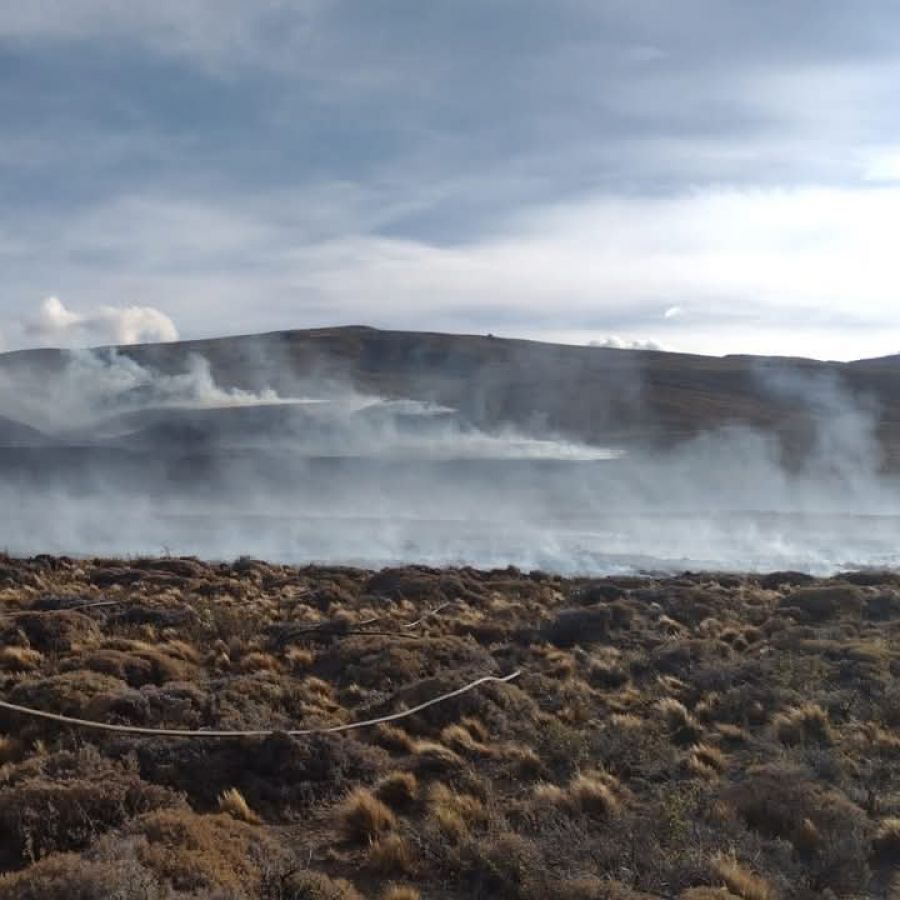 e43195634fc764cc1562fe43815d00c0_XL