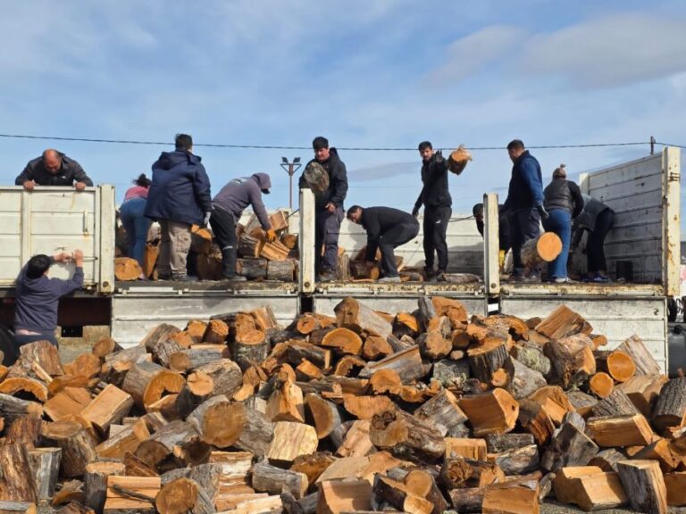 1d4af62a6d976367576b2845bc84cd5b_XL