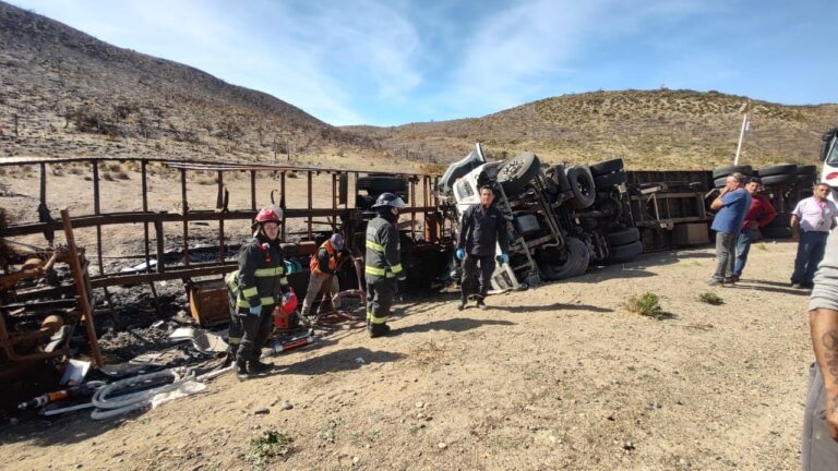 64187177-d2c5-4a71-b32b-12ffc70d41c1