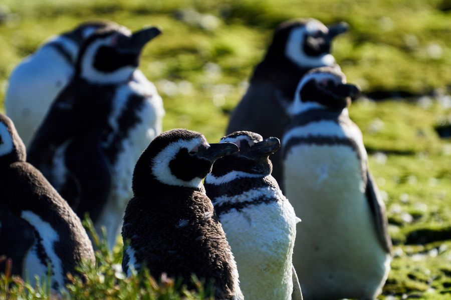 4efe7f32e987cdf864ea7018eb23d788_XL