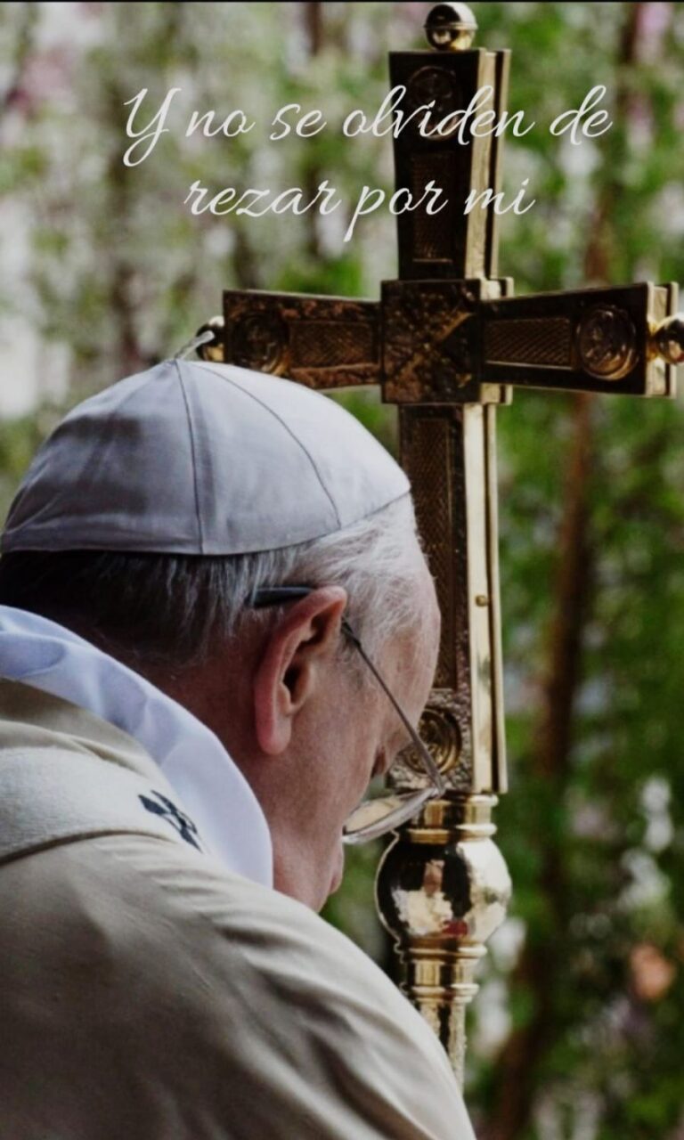 d352a7d48746018d3a556bec35a8f8c6_XL