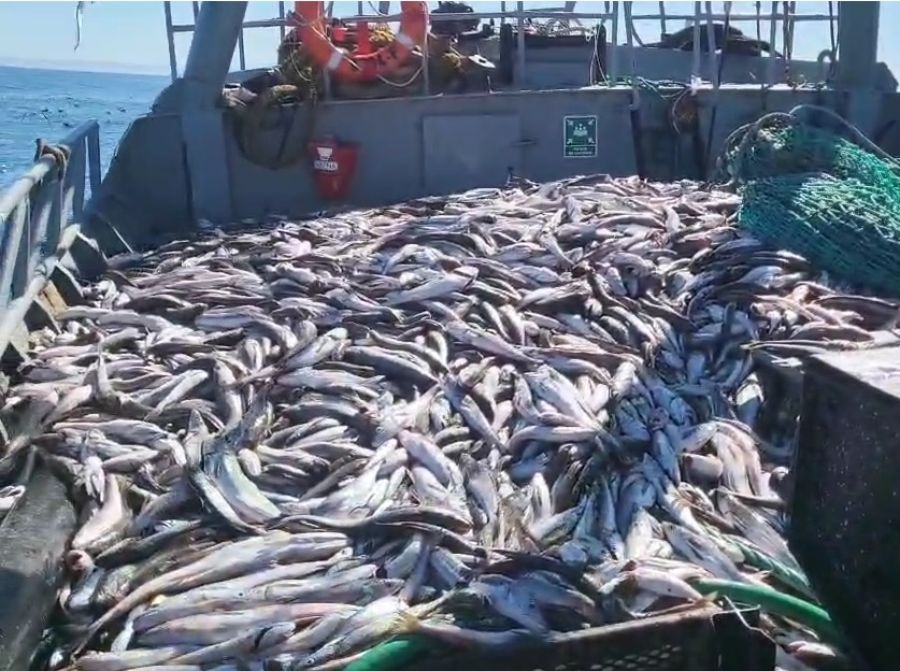 e60f638413afa1732daec0074ae20c27_XL