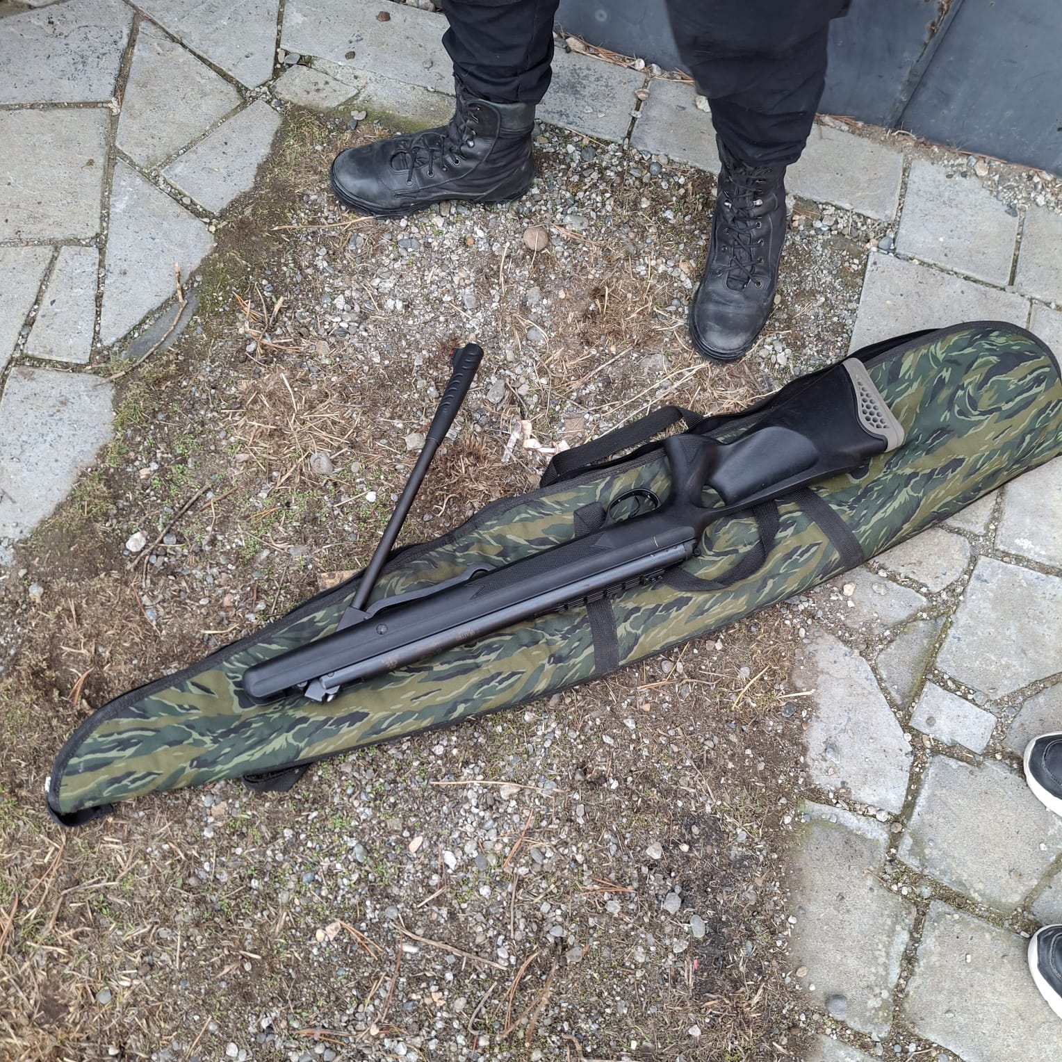 7b78c9e5-8422-456d-bd0e-d3f8a664c0b7