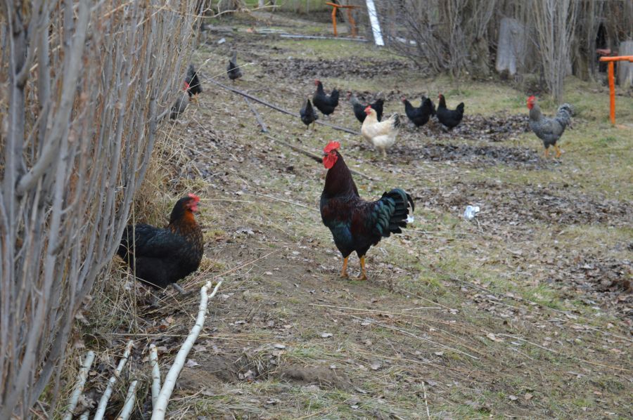 1e180a9fc02002bd82cbd738ca85caf6_XL