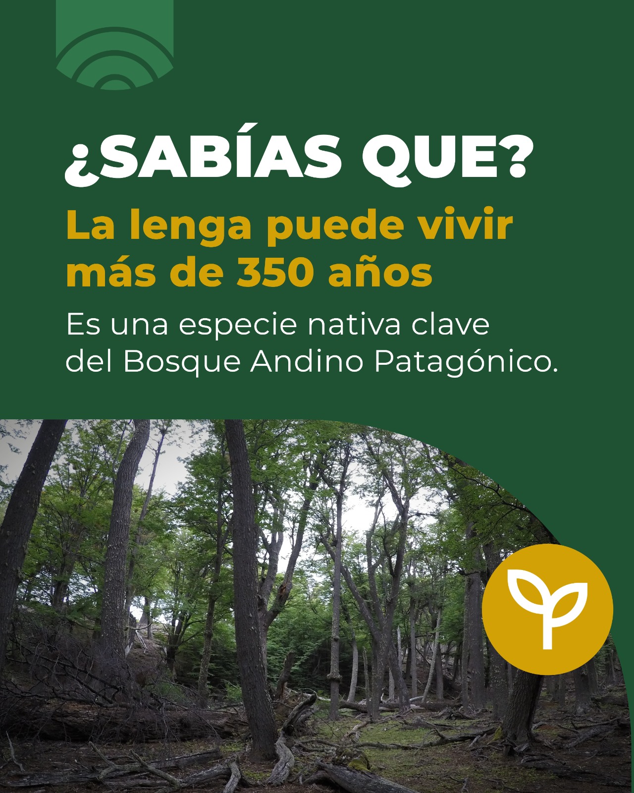 WhatsApp_Image_2025-08-08_at_10.11.07_5