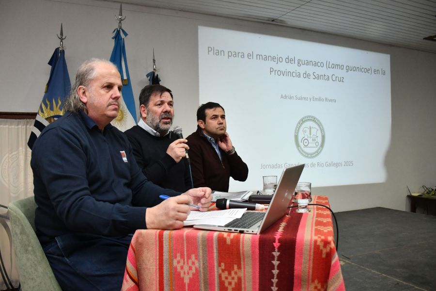 bb49f7ec0d3cfa010bfa532f0dd6906d_XL