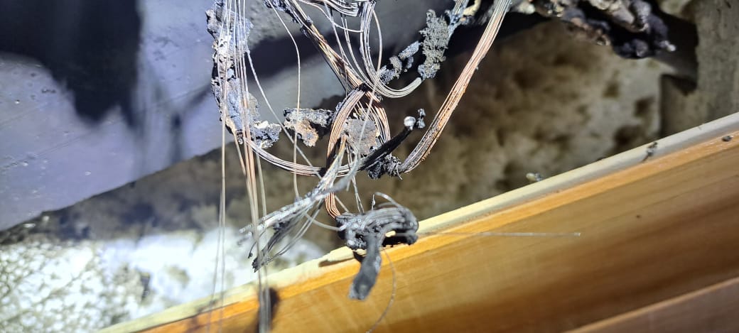 dccad96c-d3e2-44f5-a58d-099a03fb36a4