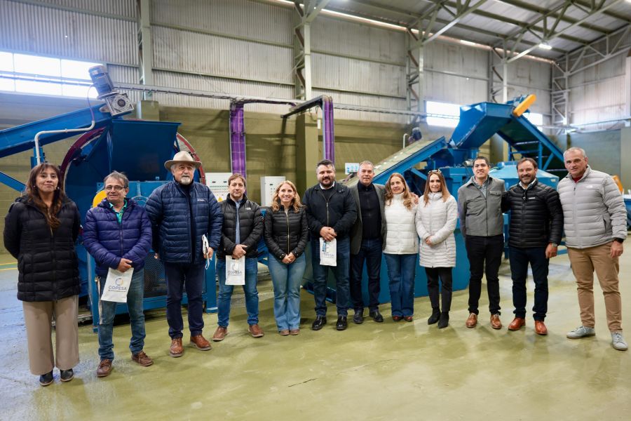 1689cbc528e769ce7188598e61e62652_XL