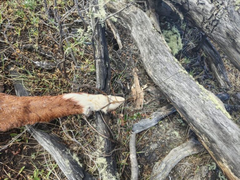 279aba06cf0febdbb0e11523a5b892df_XL