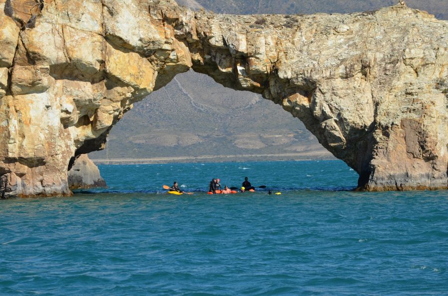 355a850b6e9be58bfa0c13e3cc6a25a1_XL