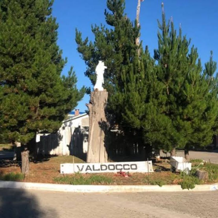 c7b399a8ba30f3bf3911ec83d885f665_XL