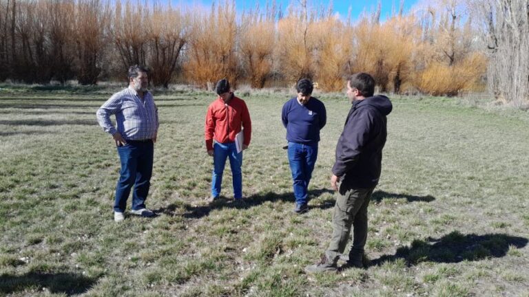 df59732d585570d7859c646e2afadf11_XL