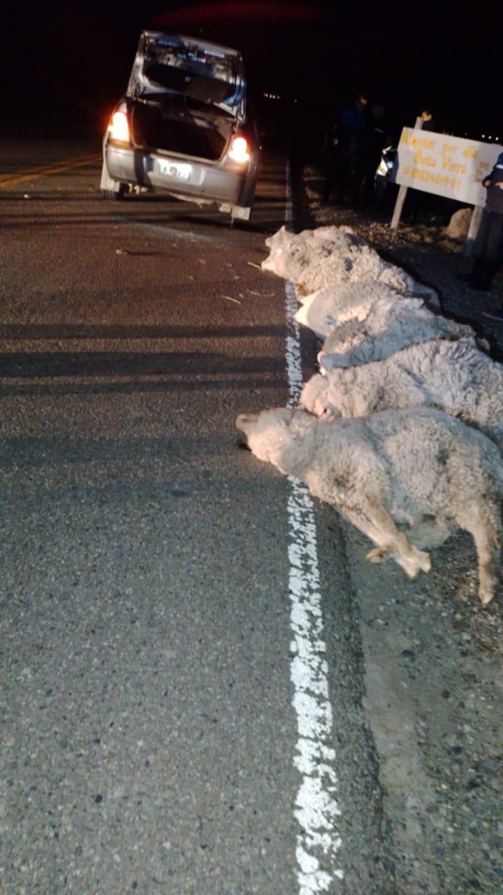 f8333e6c-7309-41df-b4be-66519158efc4