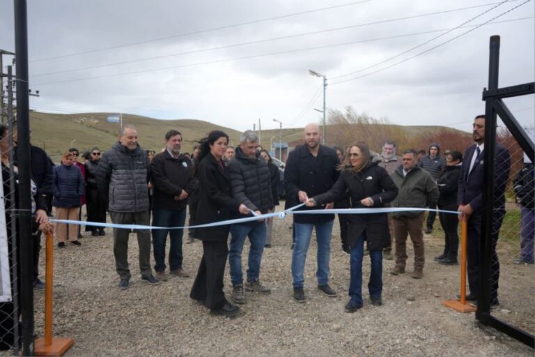 0995073f91ffdedbd8b8917ea2e66b11_XL