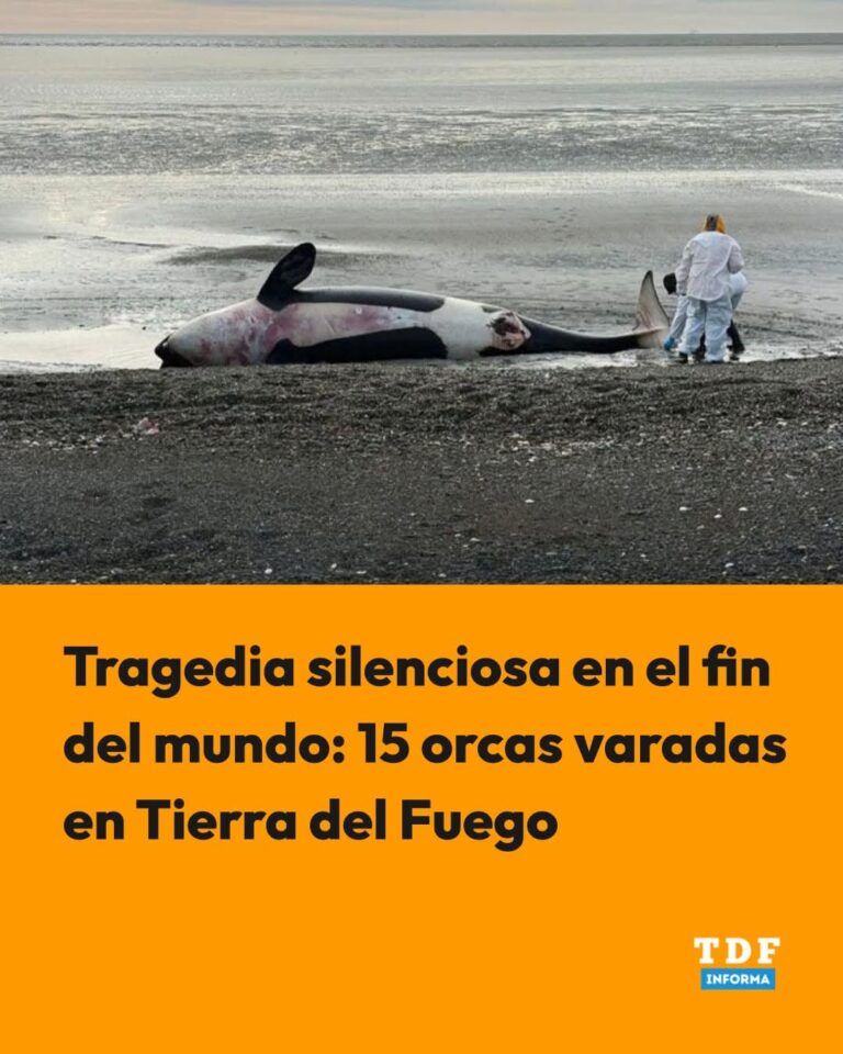 0f967400-0e72-4016-9fde-bef63d6a1734