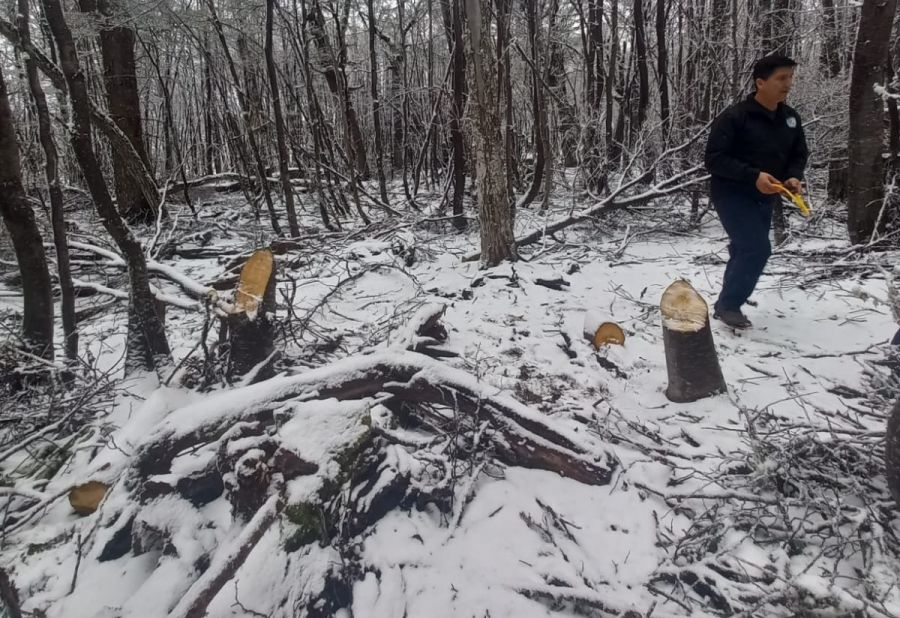 7dd062d44586f73e0eee9f0efa301217_XL