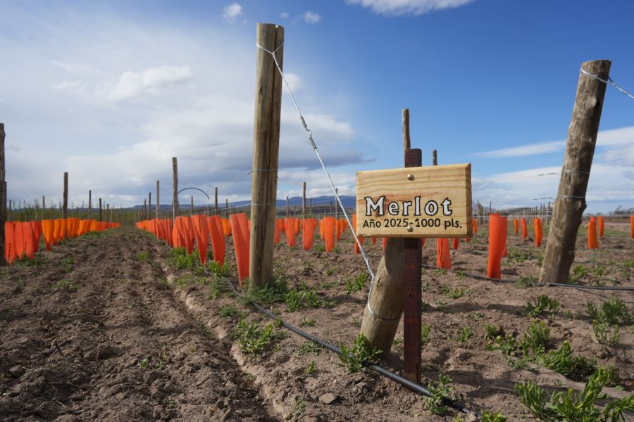 869d7dfbb602e00d595d031636af3eed_XL