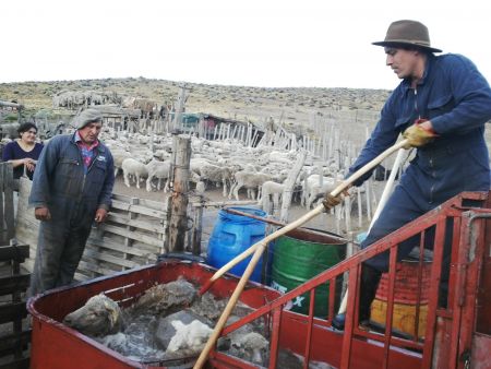 120e191769053952f7c24fd6c232e379_L