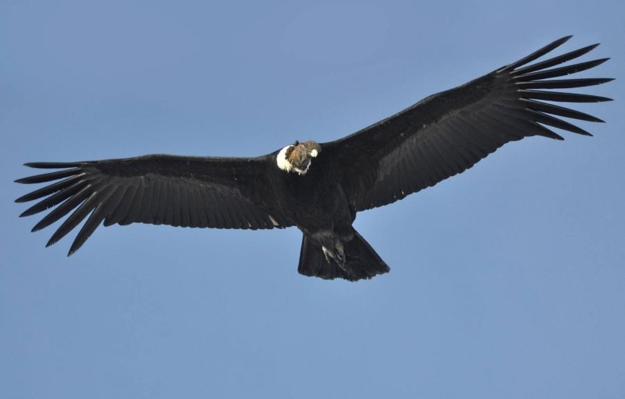 513c595666566eacec8aa2ce50f36098_XL