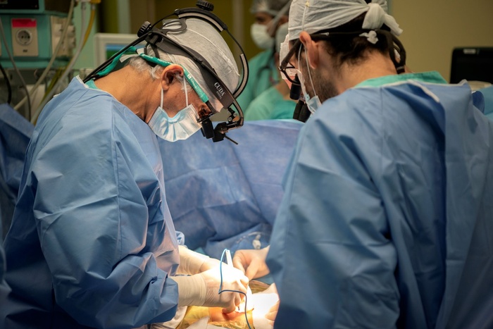 985541-02-trasplante-card-c3-adaco