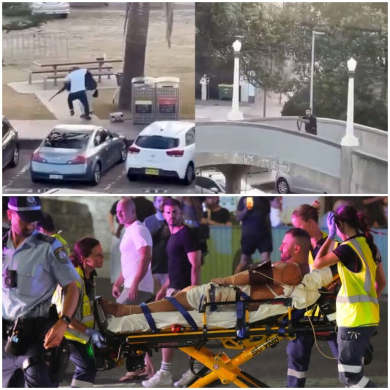 1345ea5f-2d94-4e11-9e29-375e9188c34d