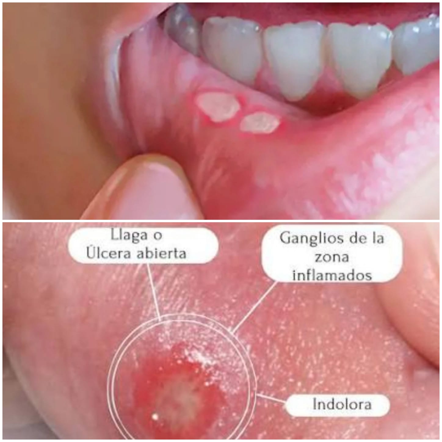 17b071e9-12a5-4a6c-b81c-057ef1c6f958