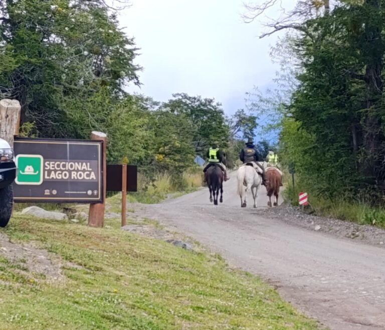 601973505_1531959308517763_6162612327353631988_n