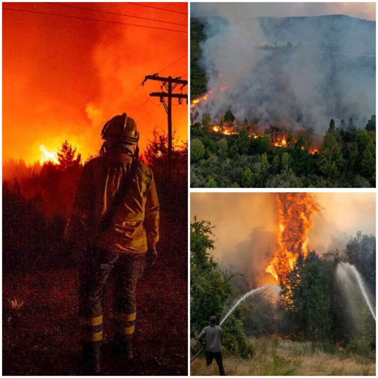 701c11b8-610b-46ad-b526-24b15834c181