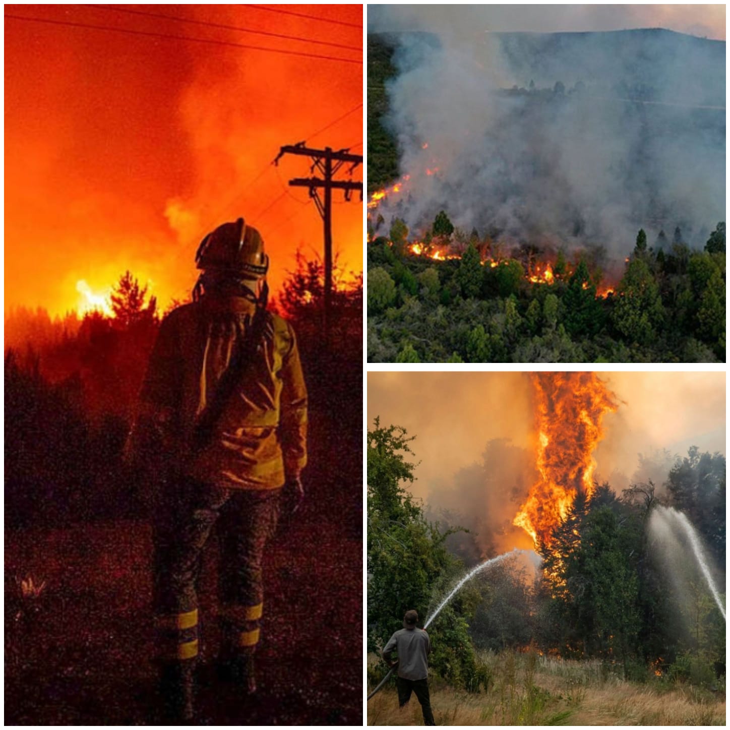 701c11b8-610b-46ad-b526-24b15834c181