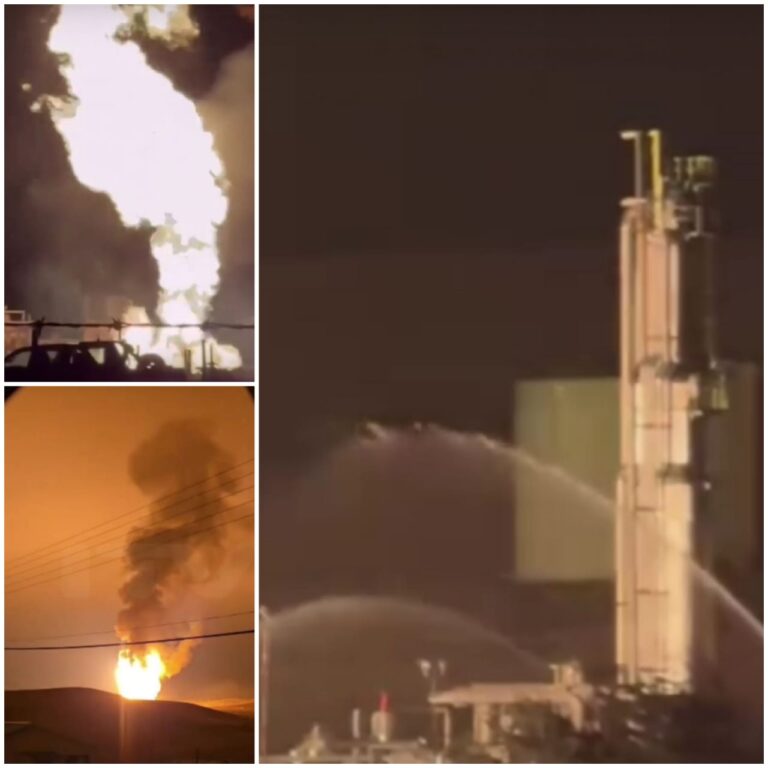 b413a73e-925e-4028-ad3f-b293592c2d08