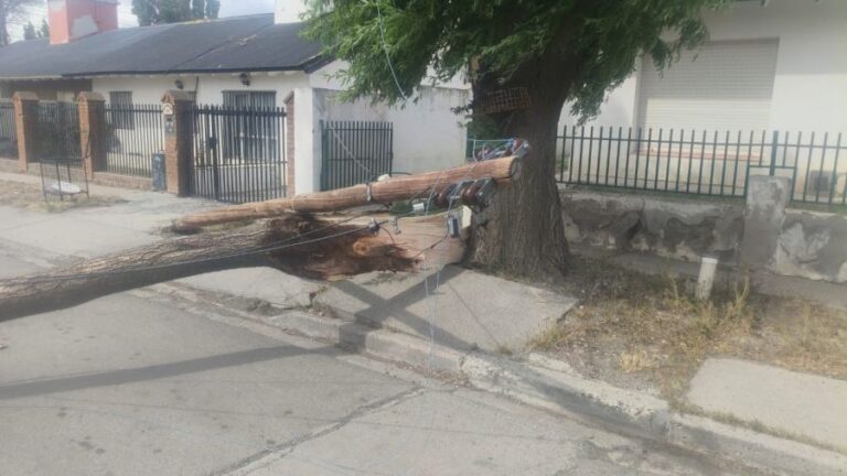 cd30d625681bb292f6963737b6f4482c_XL