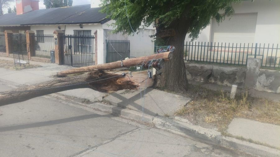 cd30d625681bb292f6963737b6f4482c_XL