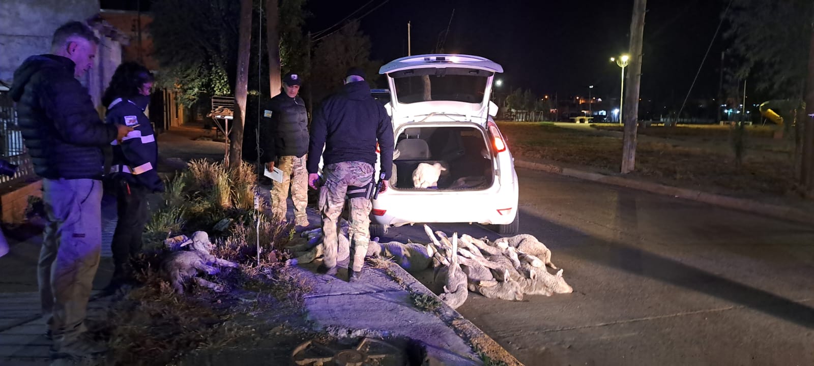 e0e87165-a278-4399-8259-00dd34c86567