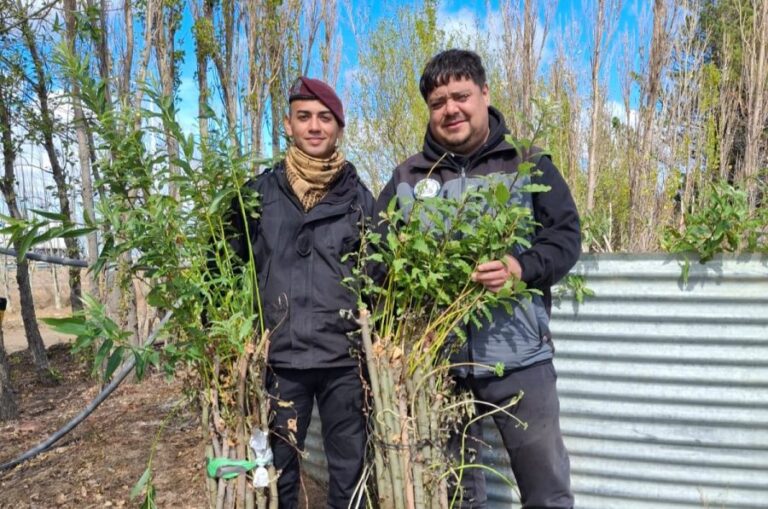 026a0041ac6e174b1fc51b0304555d95_XL