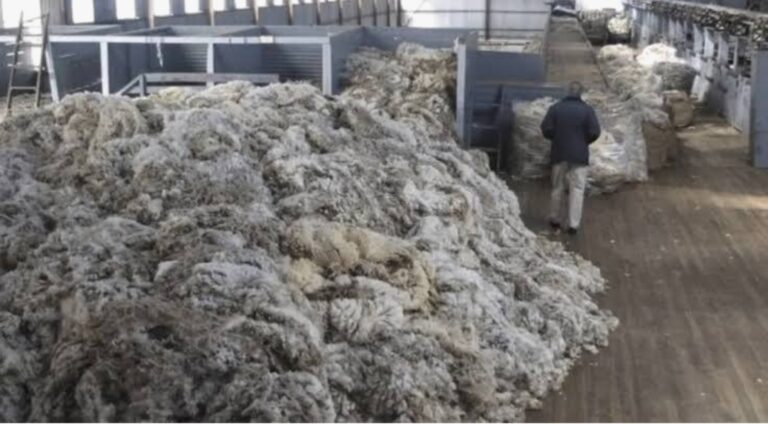 4721fb62-873f-4f69-b055-65c1b456256a