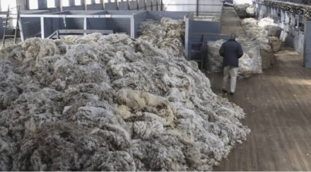 4721fb62-873f-4f69-b055-65c1b456256a