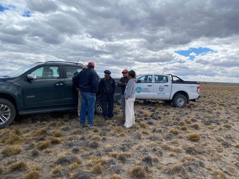 4980bdf4-83ad-431f-8a36-6bb436637769