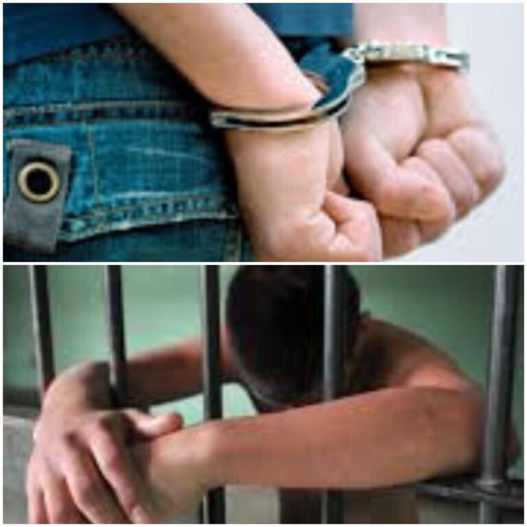 76348857-2178-48e5-a5a9-f72ff3d70a9b