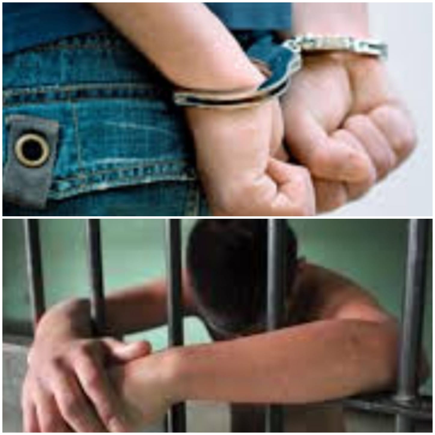 76348857-2178-48e5-a5a9-f72ff3d70a9b