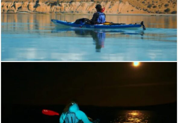 7b17af33-884e-454c-a00f-7241047fd5e9