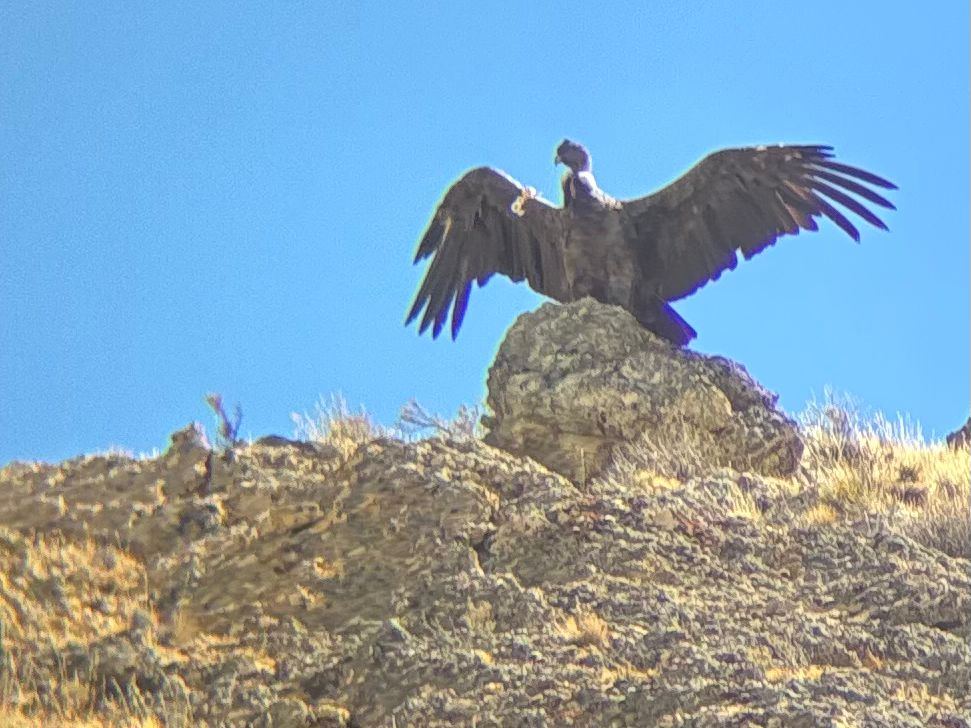 WhatsApp_Image_2026-01-17_at_13.19.38_1