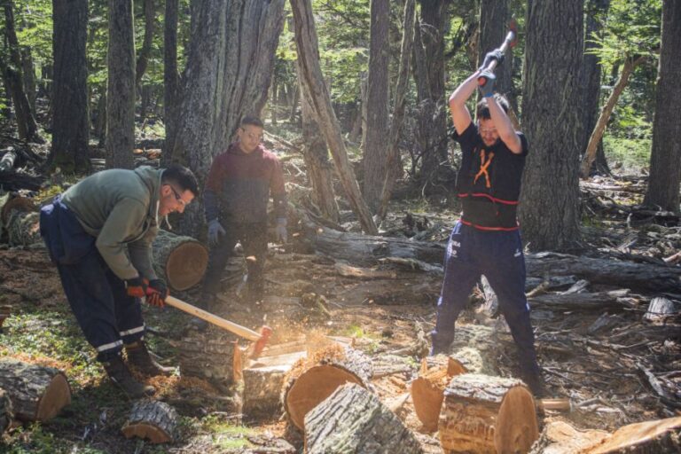 cf66a356ba9c0bd2555e0329b0c017e1_XL