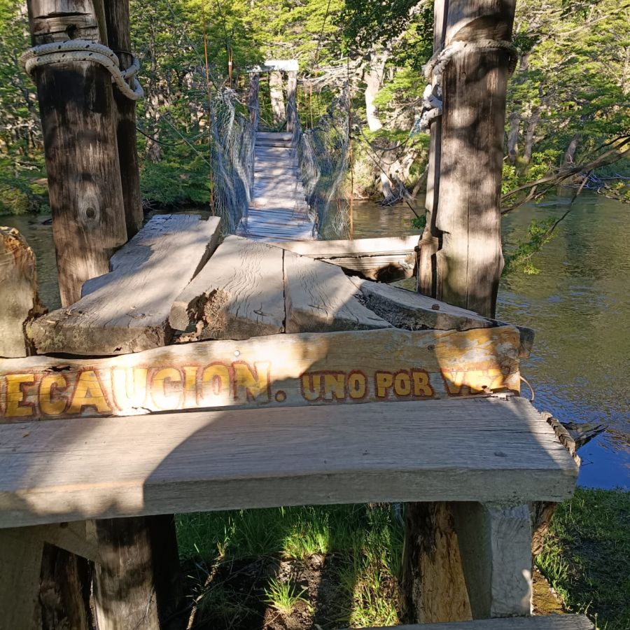 d9002895c0f69b7562d36d8be0a63d71_XL