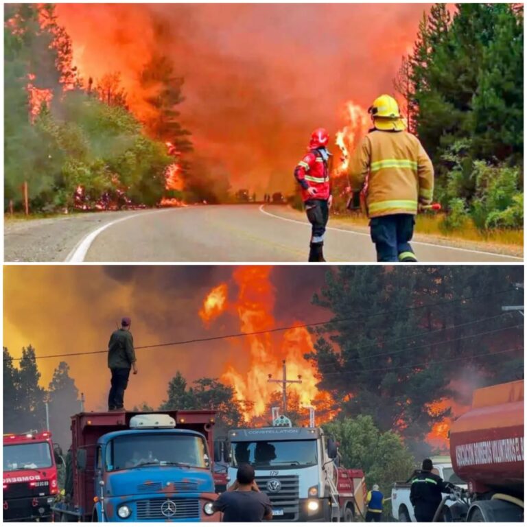 da3392f3-5217-4aae-bb8b-87c1e82f696c