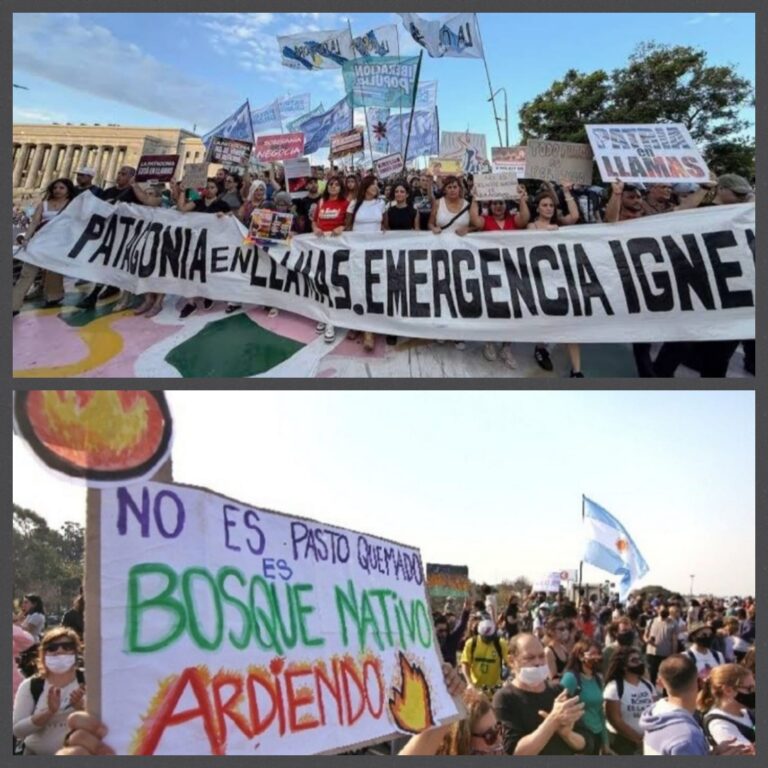 f12f8c31-ec02-4a20-a989-14b82d9d9138