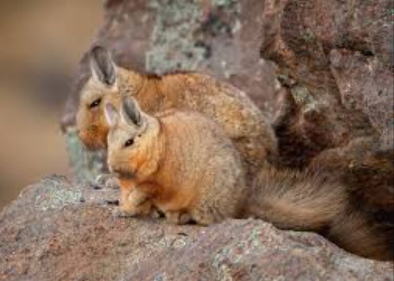 f4fd590f-e10d-49c9-8175-0e19cff336bd