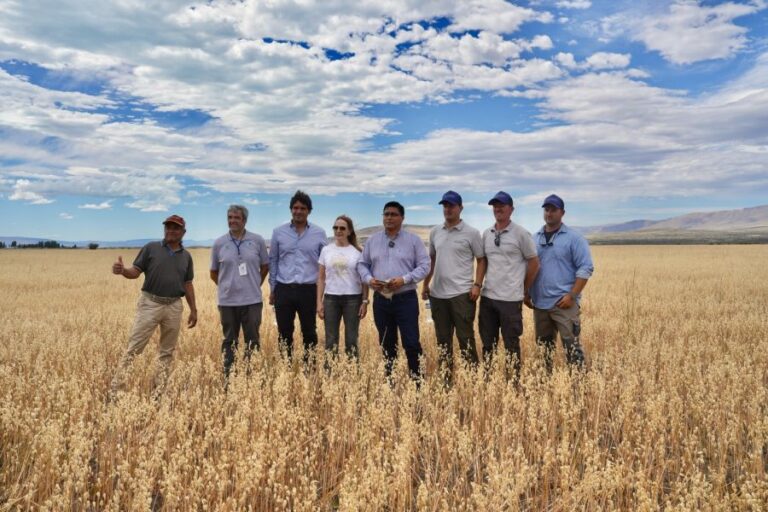 ffa9b3652ee277377370f13ff9f6dad7_XL