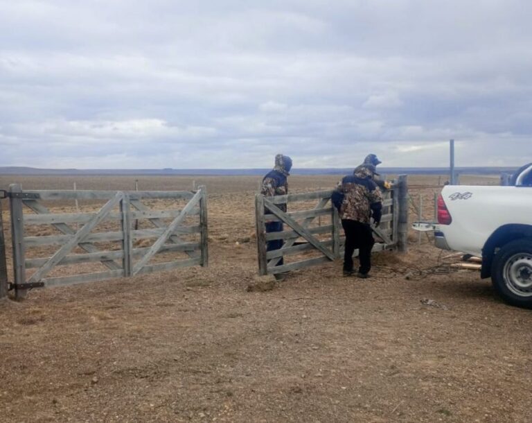 130c3aeed28baca47b9ecce016e1f4c2_XL